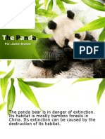 Panda Javier