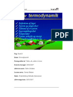 Fysik Rapport - Termodynamik
