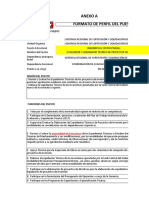 Formatos Del Manual de Perfiles ESTRUCTURAS