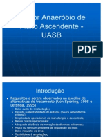 Reator Anaeróbio de Fluxo Ascendente - UASB