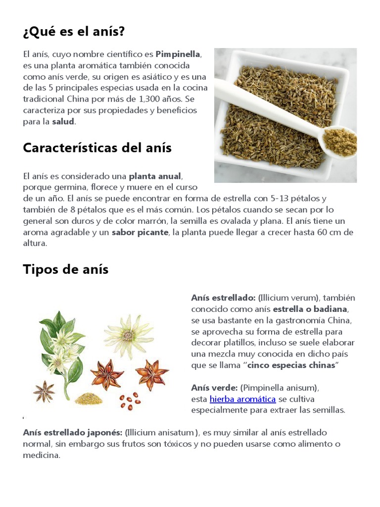 Propiedades y beneficios del anís | PDF | Alimentos