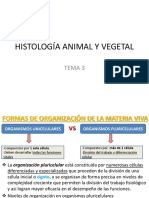 T3 - 1ºbach - HISTOLOGÍA ANIMAL Y VEGETAL