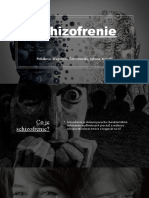 Schizofrenie - VKZ
