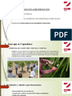 Desarrollo de Metodos de Creatividad e Innovacion - Fernandez Rojas Humberto Fernando - Diplomado Agronegocios