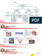 1. TIPOS DE CELULAS (3)