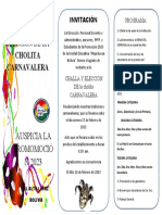 Programa Carnaval - BOLIVIA