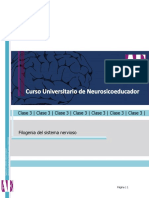 Apunte B - Filogenia Del Sistema Nervioso