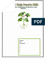 LKPD T Monokotil Dan Dikotil