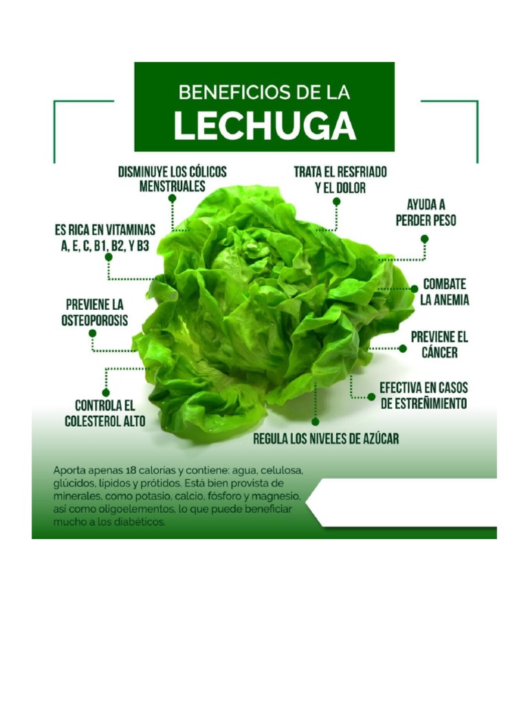 Beneficios de La Lechuga | PDF
