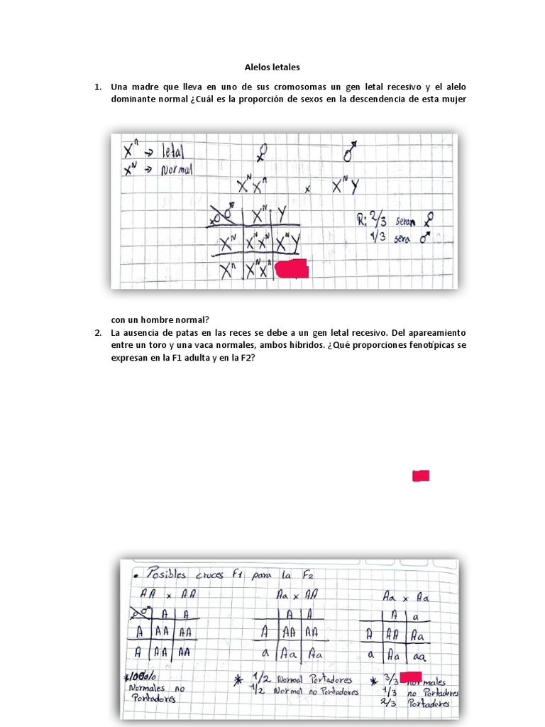 Proporciones de Alelos Letales en Cruces | PDF