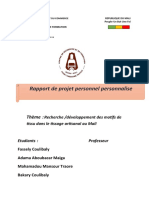 Rapport Du Ppp-1