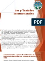 Acuerdos y Tratados Internacionales