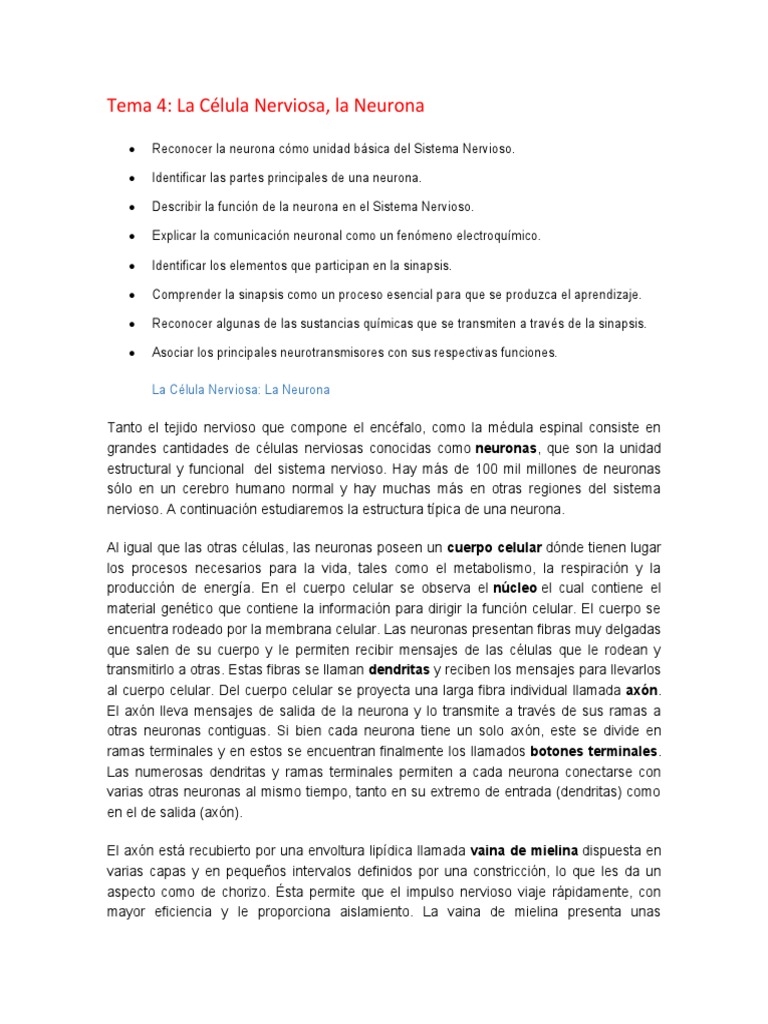 Tema #4 BIOLOGIA | PDF | Neurona | Sinapsis