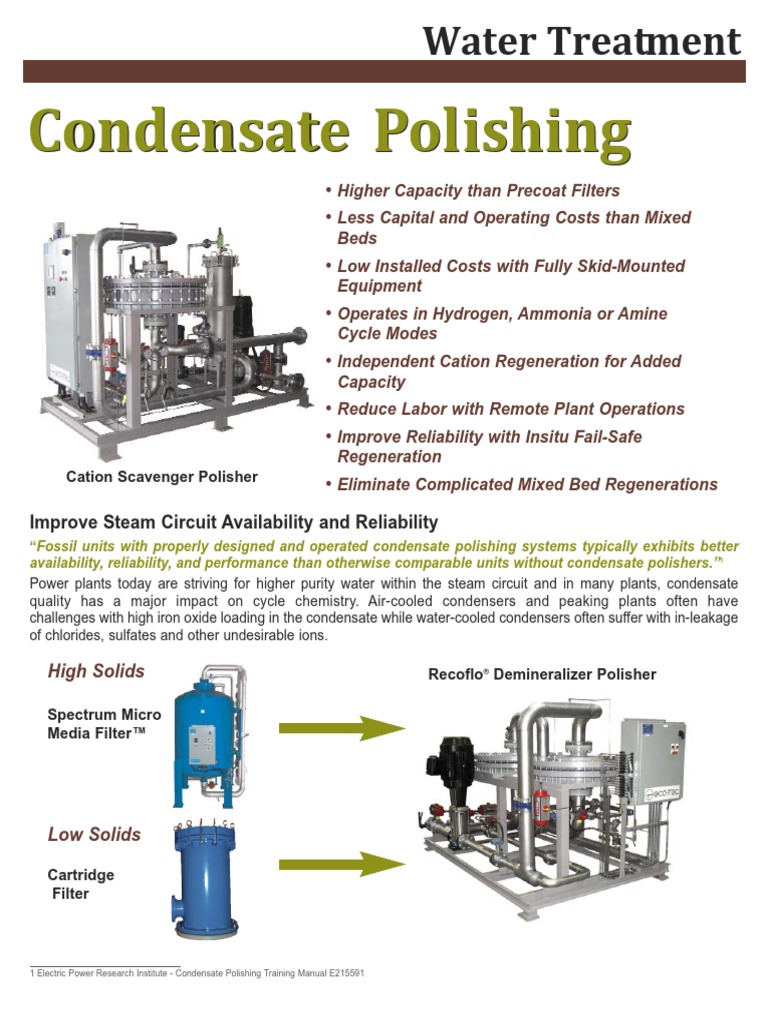 SSWT106 CondensatePolisher PDF Ion Filtration