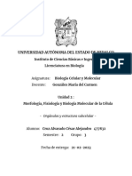 Universidad Autónoma Del Estado de Hidalgo: Instituto de Ciencias Básicas e Ingeniería Licenciatura en Biología