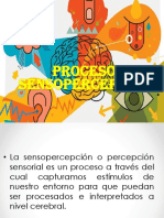 Organizacion Sensoperceptual Ip 23