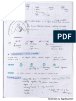 Embryology