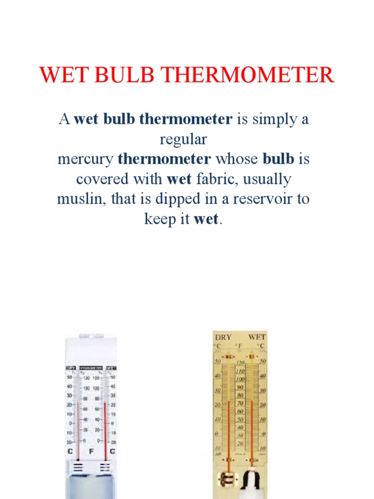 Wet Bulb Thermometer Presentation Semester 3 PDF Humidity