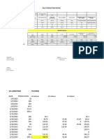 Daily Production Report