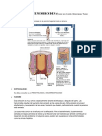 Cuadernillo de Patologias