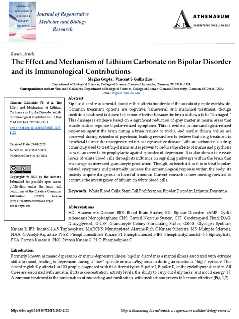 Lithium intelligence overview