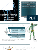 Sistemul Nervos
