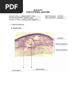  Act07 Toad External Anatomy Exercise