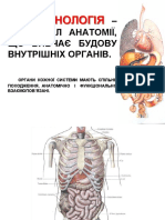 6. SPLANCHNOLOGIA 2014 2015 К UKR