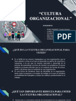 Cultura Organizacional - Grupo N°4
