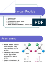 Asam Amino, Protein Dan Metabolisme