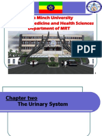 Unit-2 Special Radiographic Procedures of The Urinary System