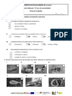 Ciências Naturais - Sistemas Respiratório e Circulatório