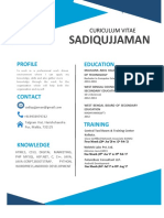 Sadiq CV New