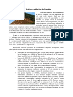 Defrișarea Pădurilor Din România