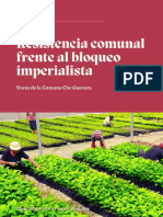 Resistencia Comunal Frente Al Bloqueo Imperialista: Voces de La Comuna Che Guevara