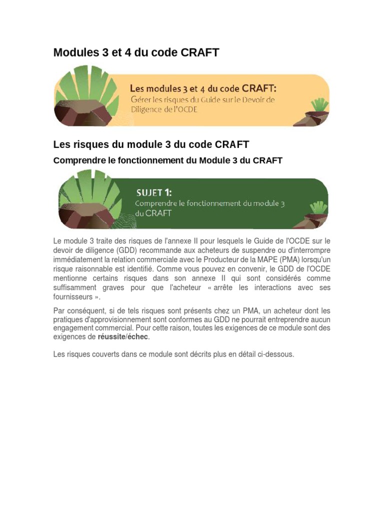 Risques du module 3 du code CRAFT | PDF | Torture | Sécurité