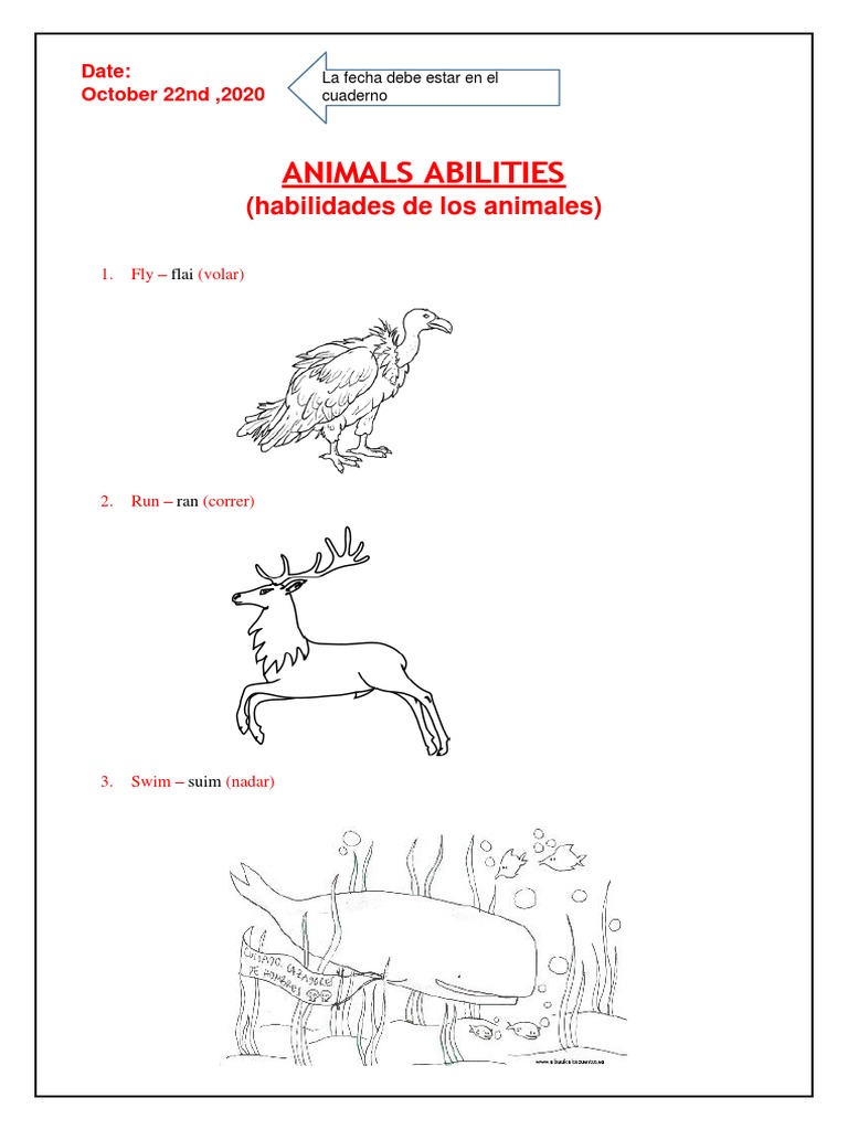Animals Abilities PDF