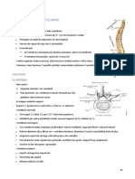 COLUMNA