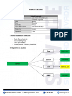 Reporte Conclusivo 2