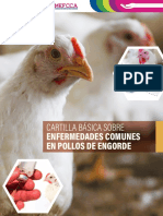 Cartilla Basica Sobre Enfermedade Comunes en Pollos de Engorde en Nicaragua