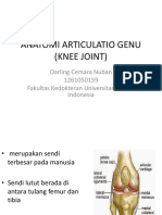 Artikulasio Genu Anatomi Sendi Lutut