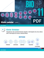 Ciclo celular I (2)