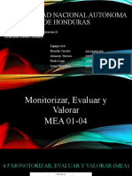 Monitorizar, Evaluar y Valorar MEA 01-04