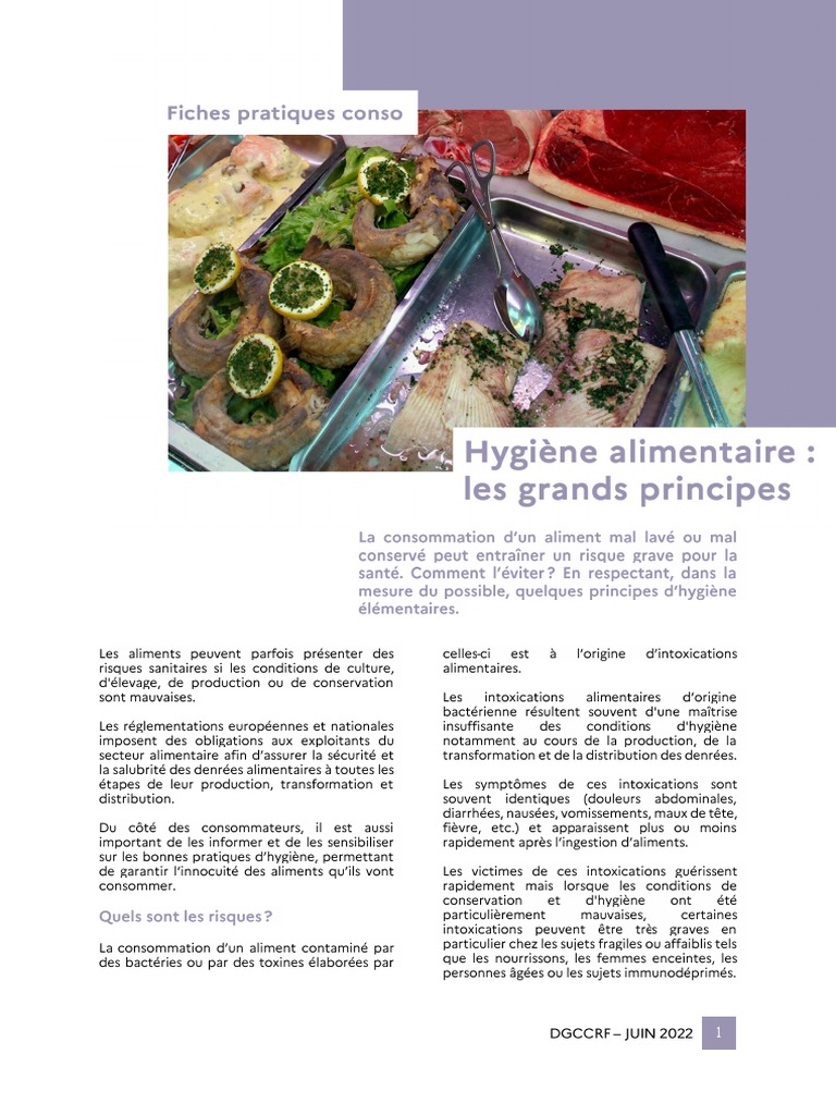 Hygi ne Alimentaire Pr venir Les Risques PDF