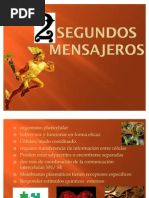 Download segundos mensajeros by Mitch Peraza SN62733173 doc pdf