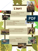 L'ours txt doc pilotis canva