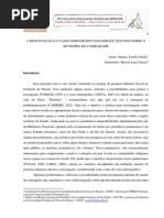 A Reocupação e o Vazio Demográfico Em Debate - Estudos Sobre o Município de Cambará - Mateus Torelli Fidelis