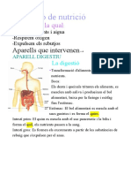 Naturales La Nutrición: Aparatos