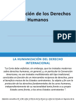 Protección DDHH Derechos Humanos