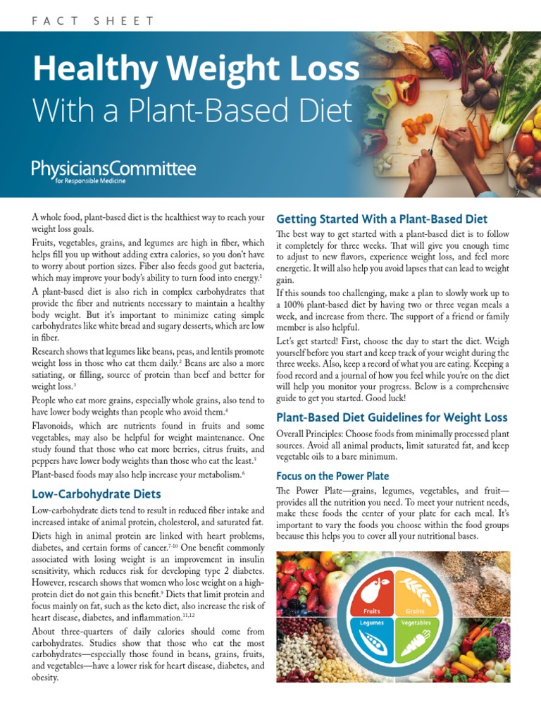 Healthy Weight Loss Fact Sheet | Download Free PDF | Dieting | Foods